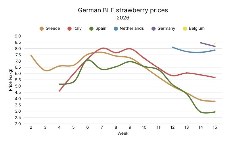 Strawberry prices from German BLE, 2026 (7).jpg
